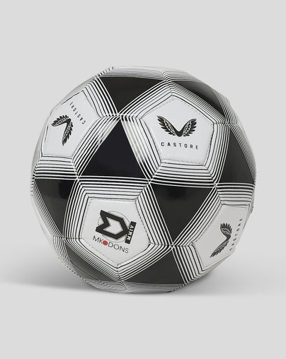 SIZE 1 MINI FOOTBALL