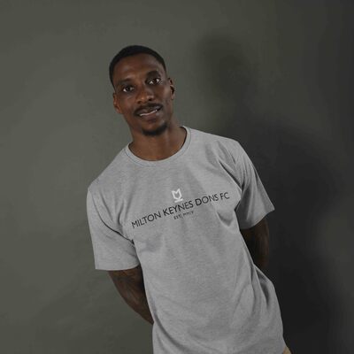 Mens Dalton T-Shirt Grey