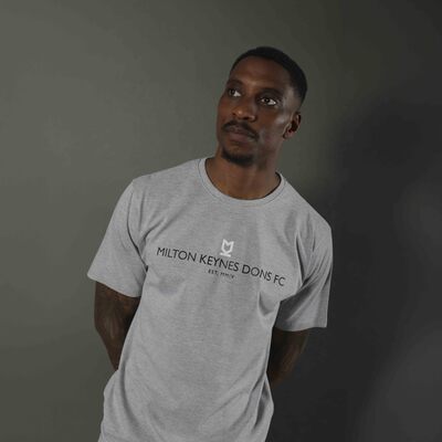 Mens Dalton T-Shirt Grey