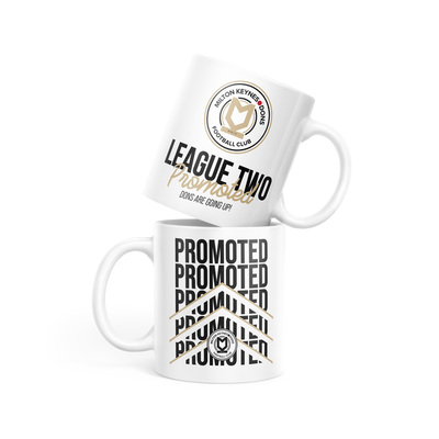 Promotion Commemorative Mug