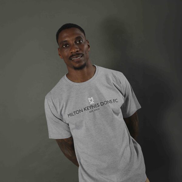 Mens Dalton T-Shirt Grey